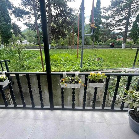 New Borjomi Apartman Kültér fotó